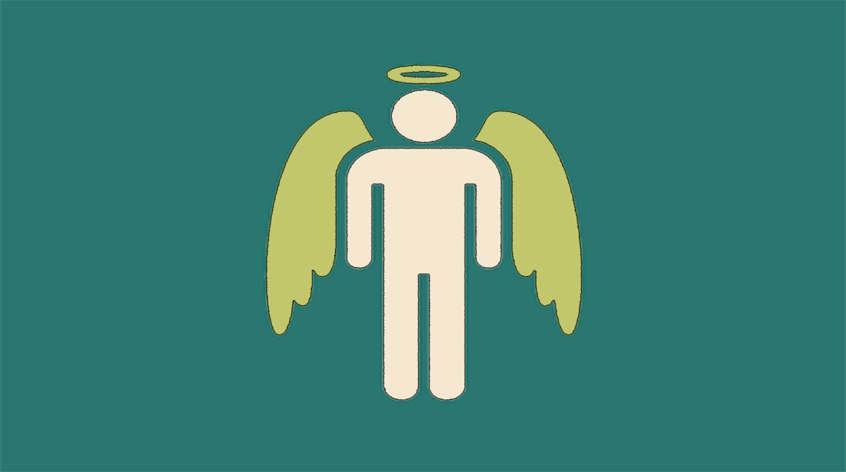 سرمایه گذار فرشته (Angel Investor)، فردی است که سرمایه اولیه راه‌اندازی استارتاپ را در اختیار مدیران قرار می دهد 